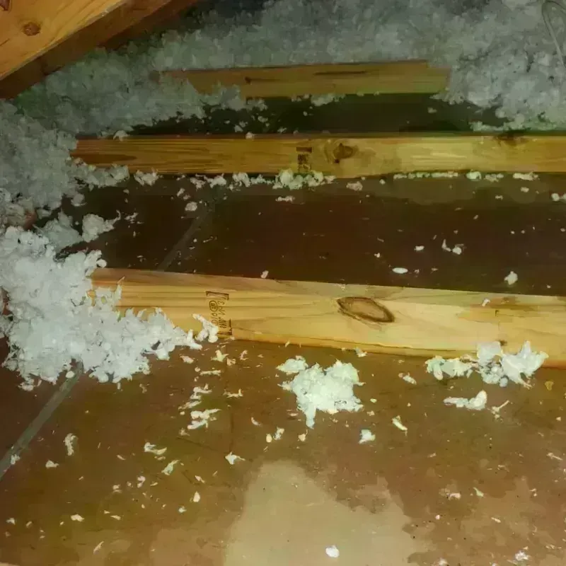 Attic Water Damage in Wytheville, VA